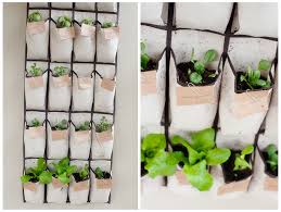 15 Diy Indoor Kitchen Herb Gardens