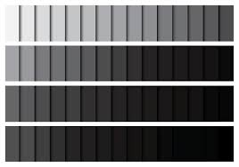 Color Palette Grey Vector Art Icons