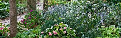 Native Plant Shade Garden Wisconsin