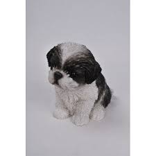 Hi Line Gift Black White Shih Tzu Puppy