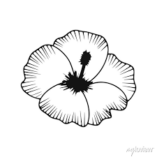 Doodle Flower Icon Isolated On White