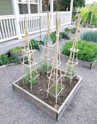 Garden Trellis Ideas For Your Outdoor Space