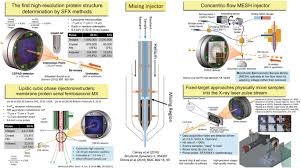 dynamic structural biology experiments