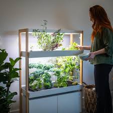 Rise Gardens Indoor Hydroponic System