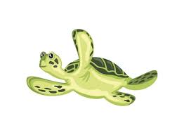100 000 Turtle Clipart Vector Images
