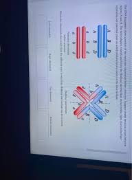 Answered The Dna Fragments Show A