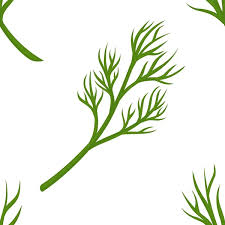 100 000 Air Plant Vector Images