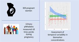 Human Placenta And Phthalates Study