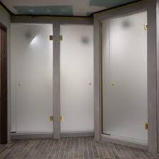 Frameless Shower Doors