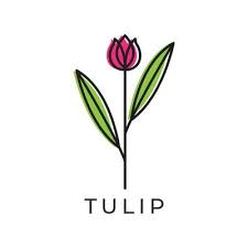 Flowers Tulips Feminine Smell