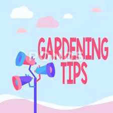 Conceptual Display Gardening Tips