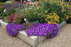 Southern Gardens With Norman Winter