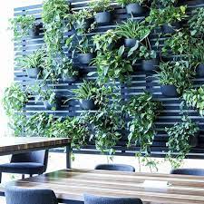 10 Best Plants For Indoor Living Walls