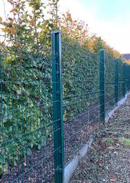 Fences Overview Of Budget