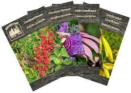 Seed Packets Roundstone Native Seed