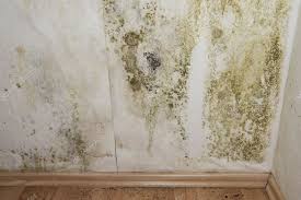 A House With A Moldy Basement