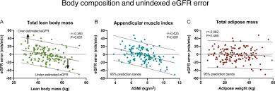 Muscle Mass Affects Estimated Gfr