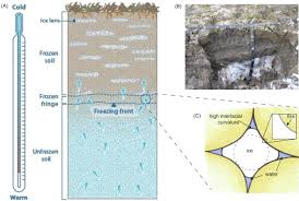 Frost Damage An Overview