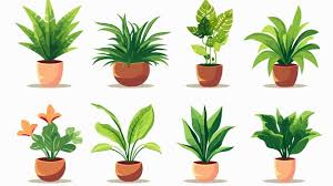 Modern Plants In Pot Vector Icon On