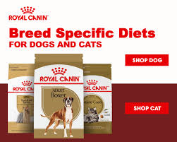 Dog Cat Food Delivery Pet Supplies
