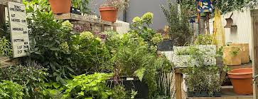 Best Places With Garden Center In Brooklyn