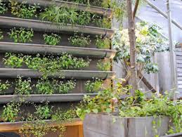 Vertical Gardens