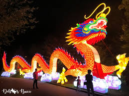 Zoo Asian Lantern Festival Illuminates