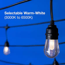 12 Light Outdoor 27 42 Ft Smart Plug In Edison Bulb Led String Light With Rgbw Color Changing And Wireless App Control