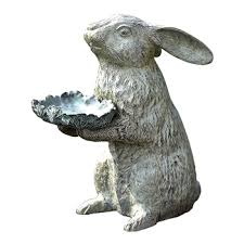 Rabbit 11w 6d 12h