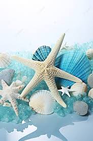 Blue Starfish And Other Seass On A