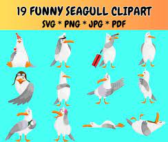 19 Funny Seagull Clipart Bundle Svg Png