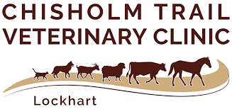 Chisholm Trail Veterinary Clinic
