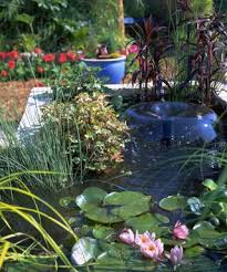 Backyard Pond Ideas 14 Ways To Create