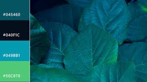 Emerald Green Color Everything You