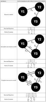 Structural Equation Models