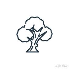 Linear Tree Outline Icon Isolated