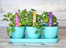 Free Printable Herb Garden Labels