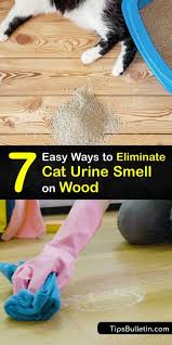 Cat Urine Smell Wood Floor Cat Urine
