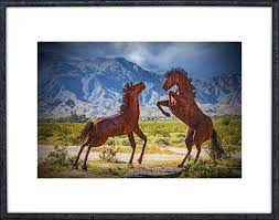 Mustang Horses Fighting Metal