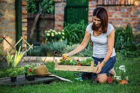 How To Start A Backyard Garden The