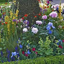 Best Perennials For Your Garden The