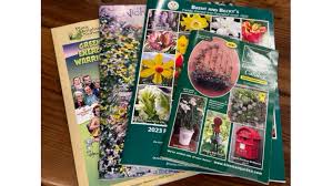 Read Your Garden Catalogs Correctly