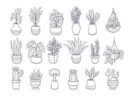 Houseplant Sketch Images Browse 22