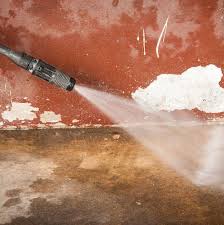 Pressure Wash Your House