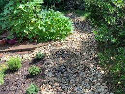 Water Drainage Problems In Your Yard