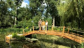 Diy Novice Builds 50ft Bridge Across