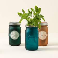 Modern Sprout Garden Jar Mint