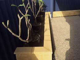 Additional Landscaping Services Perth
