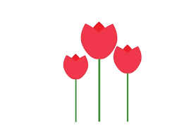 Flat Icon White Background Tulip Blooms