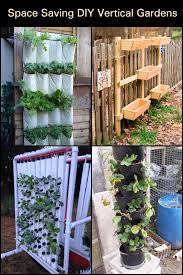 Diy Vertical Gardens